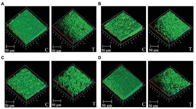 AHL-Lactonase Producing Psychrobacter sp. From Palk Bay Sediment Mitigates Quorum Sensing-Mediated Virulence Production in Gram Negative Bacterial Pathogens